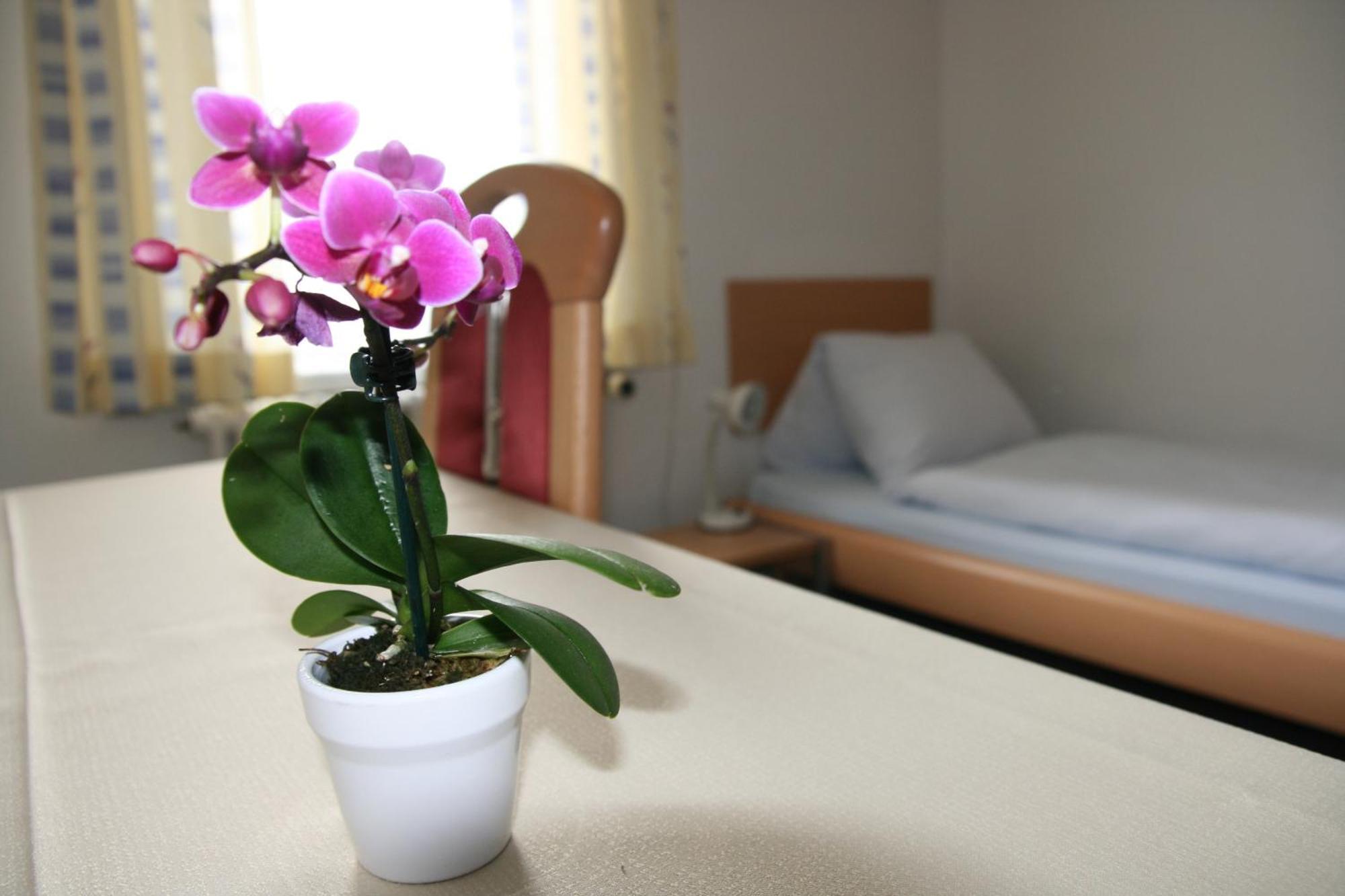 Hotel Glaernisch Hof Horgen Extérieur photo