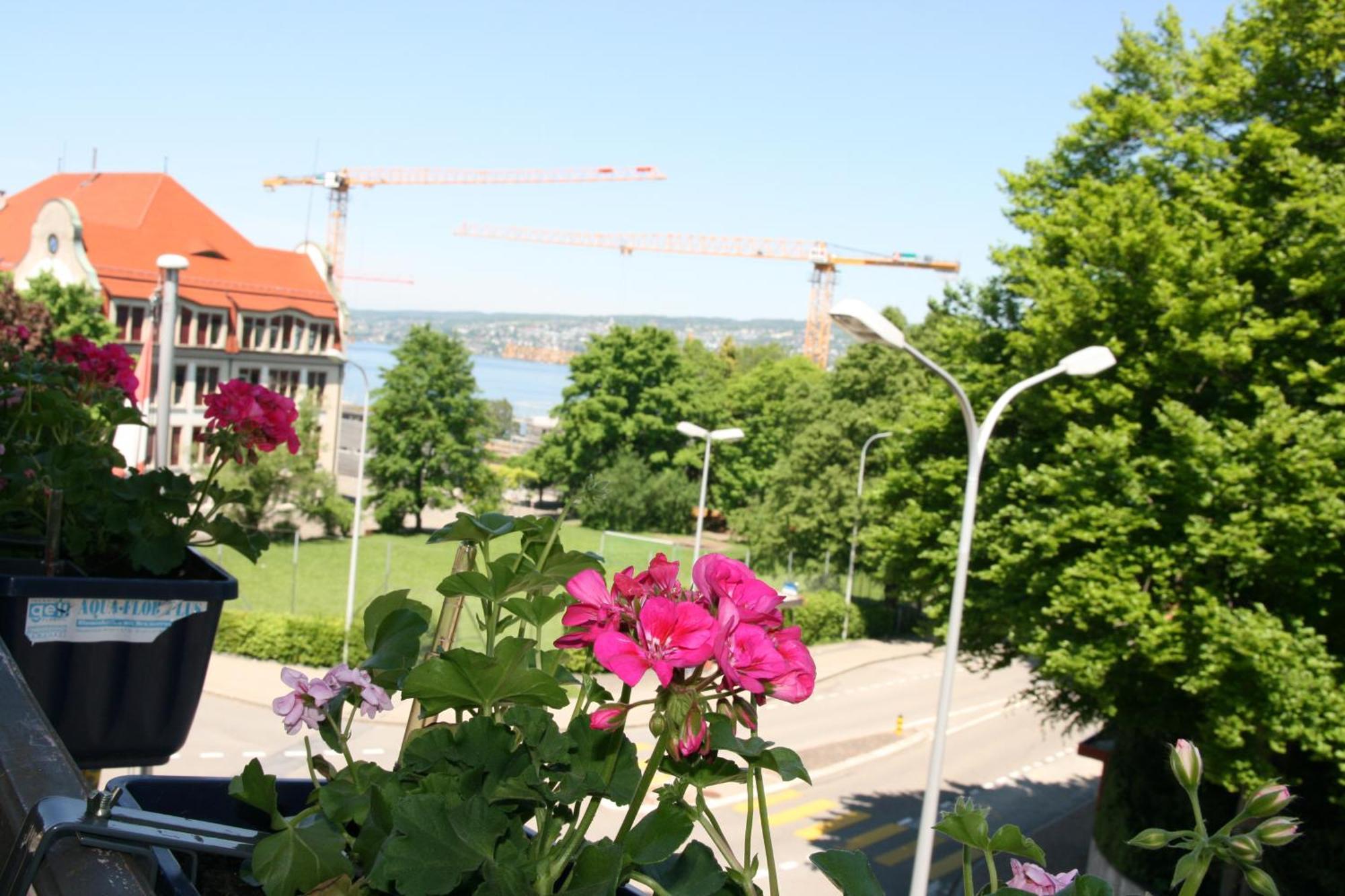 Hotel Glaernisch Hof Horgen Extérieur photo